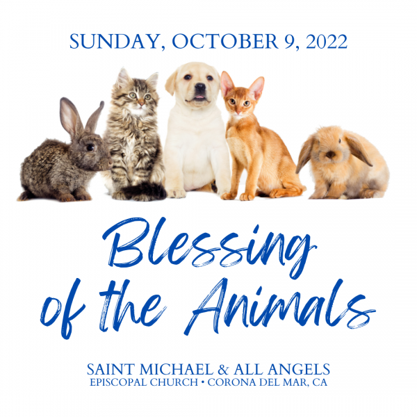 Blessing of the Animals: Sunday, October 9, 9:00 AM