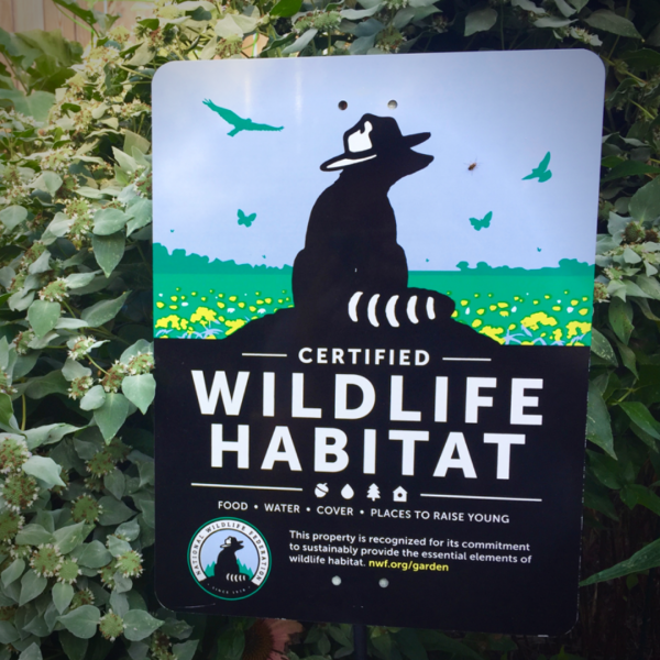 St. Michael's Campus Certified Wildlife Habitat